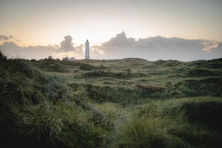 smuk morgen i Vestjylland